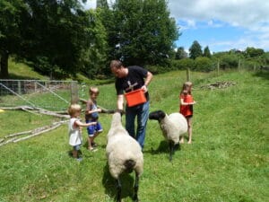 Bulent Yaprak feeding sheep with children